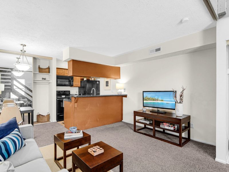 TGM Avalon Lake Apartments Living Room 4